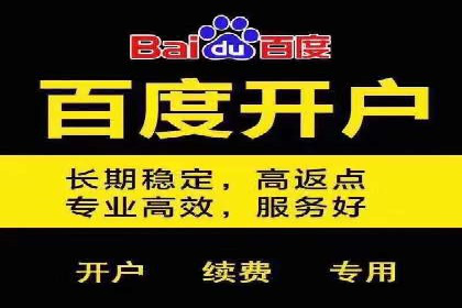 电商平台信息流广告的投放策略与效果评估案例